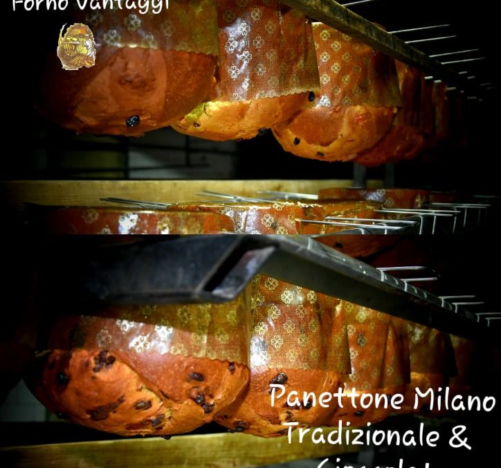 Il Panettone